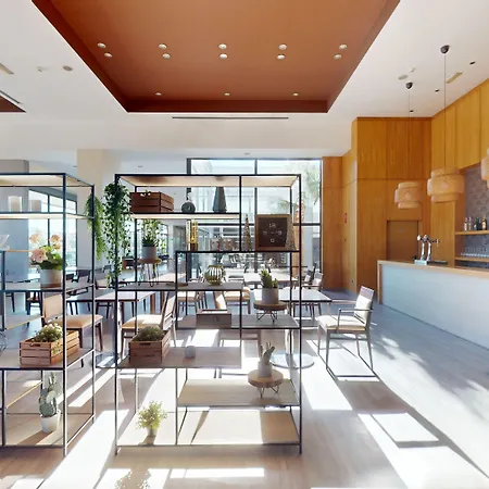 Azz Valencia Congress &